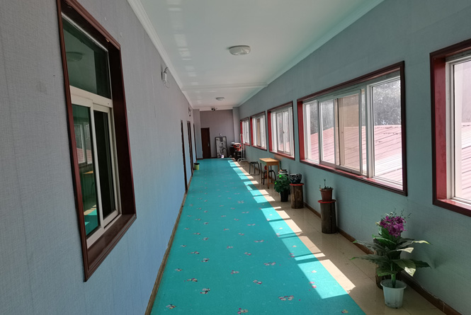 公司简介